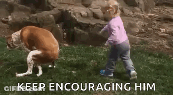Little Girl Playing With Dog In Field GIF