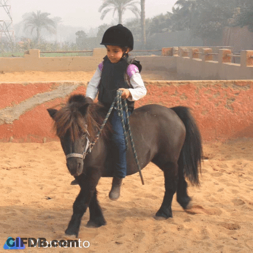 Little Girl Riding Pony In Sand GIF