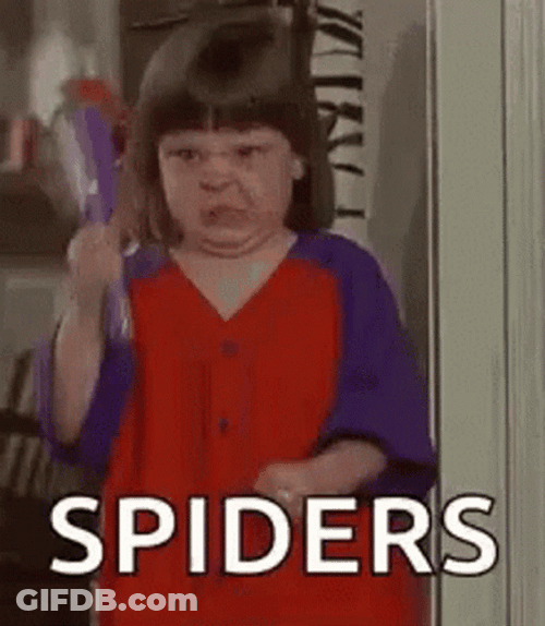 Little Girl Saying Spider Jumpscare GIF