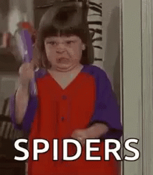 Little Girl Saying Spiders GIF