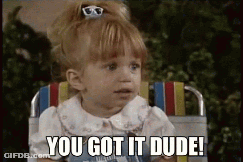 Little Girl Saying You Got It Dude GIF