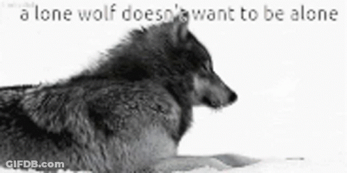 Little Girl Says Welcome Pettonville GIF