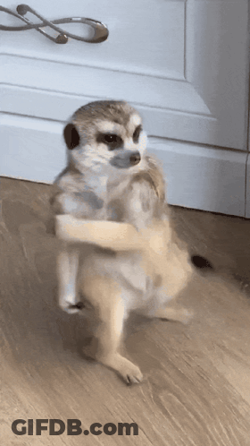 Little Girl Sitting On Couch Eating Candy Bar GIF
