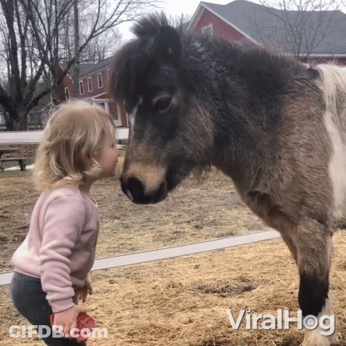 Little Girl Standing Next To Pony Viralhog GIF