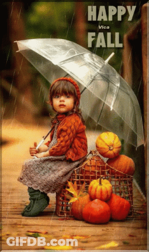 Little Girl Under Umbrella With Pumpkins Happy Fall GIF