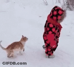 Little Girl Walking In Snow With Cat GIF