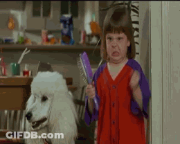 Little Girl With Brush And White Poodle Funny Face GIF