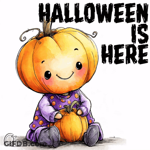 Little Girl With Pumpkin On Head Halloween Is Here GIF