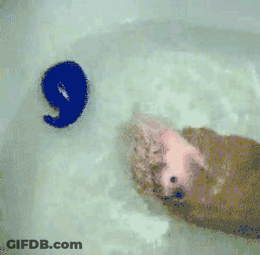 Little Hedgehog Bath Time GIF