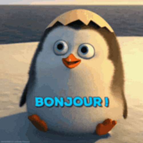 Little Penguin Waving Bonjour GIF