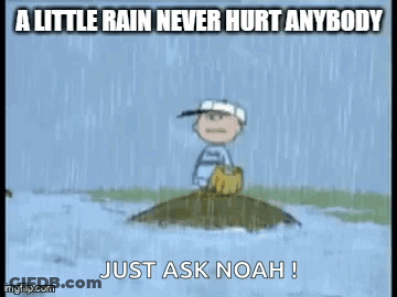 Little Rain Never Hurt Anybody Ask Noah GIF