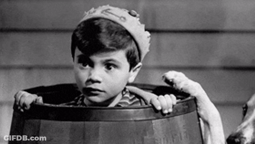 Little Rascals Hiding Inside A Bucket GIF