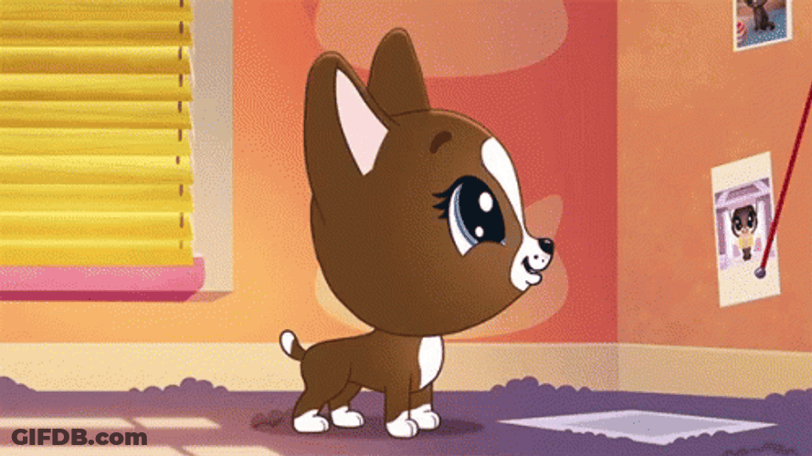 Little Roxie Mcterrier We Did It GIF