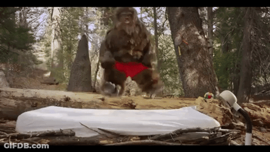 Little Sasquatch Jumping Hooray GIF