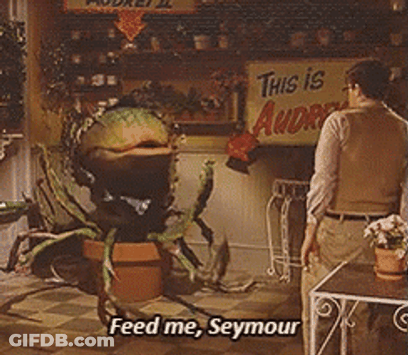 Little Shop Of Horrors Feed Me Seymour GIF