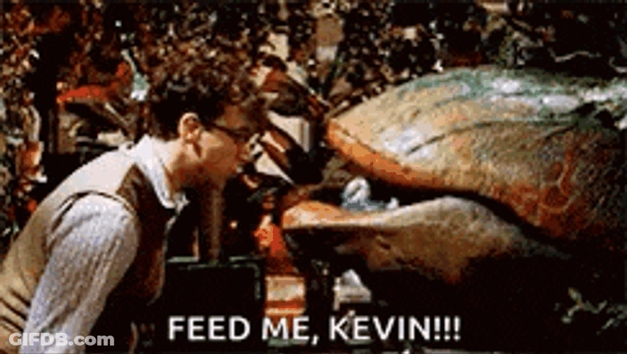 Little Shopof Horrors Rick Moranis GIF