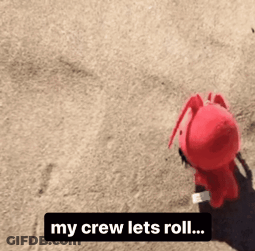 Little Toy Lets Roll On The Sand GIF