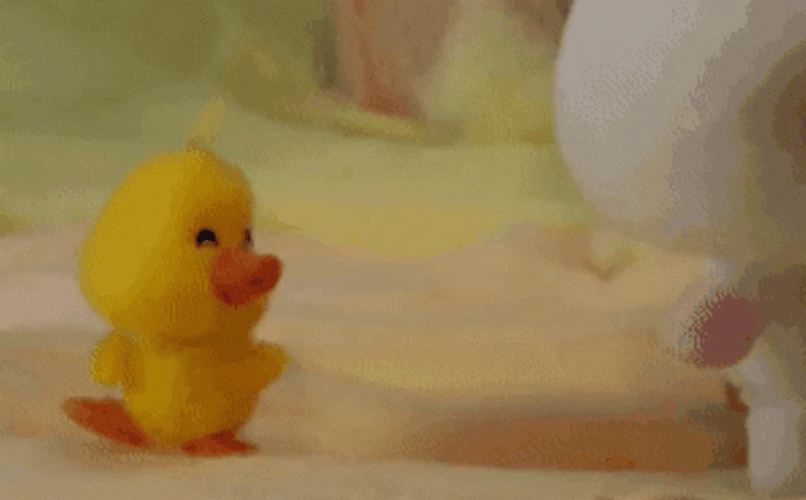 Little Yellow Duck Waddle Back And Forth GIF