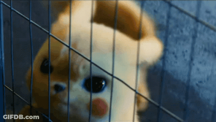 Live Action Pokemon Pikachu Locked In Cage GIF