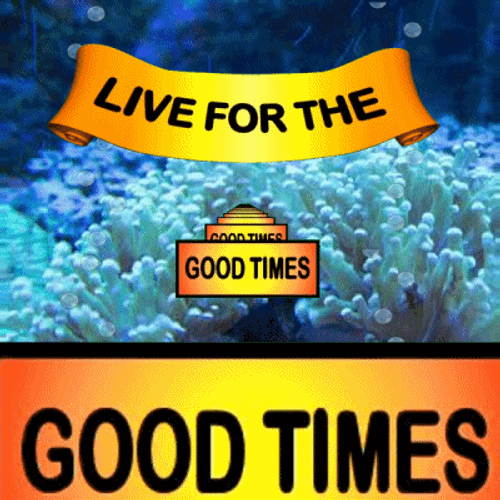 Live For The  Good Times Underwater Loop GIF