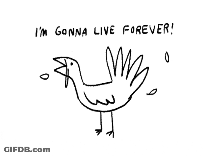 Live Forever Turkey Meme GIF