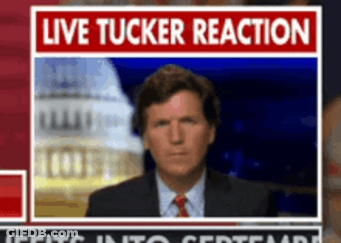 Live Tucker Carlson Reaction GIF