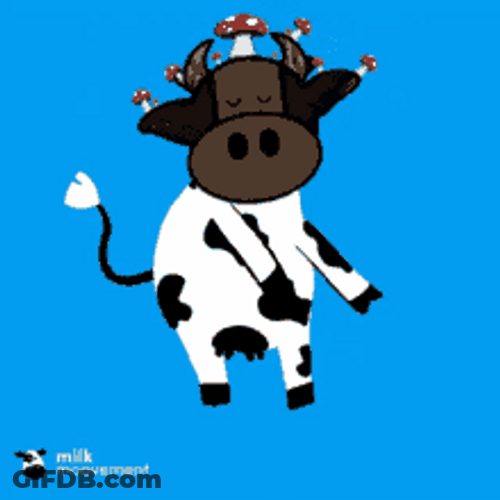Lively Dancing Holstein Friesian Cow GIF