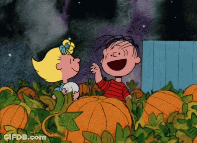 Lively Kid Dance On Pumpkin Field GIF