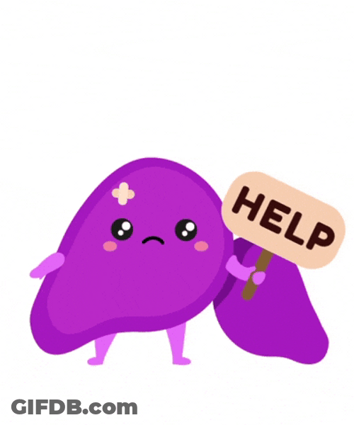 Liver Asking For Help To Circulatory System GIF