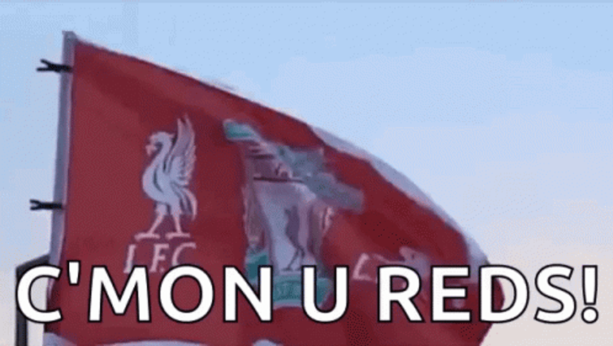 Liverpool Fc C'mon U Reds GIF