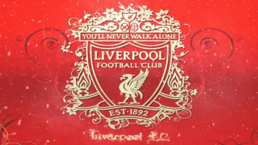Liverpool Fc Dust GIF