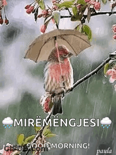 Living For Validation GIF