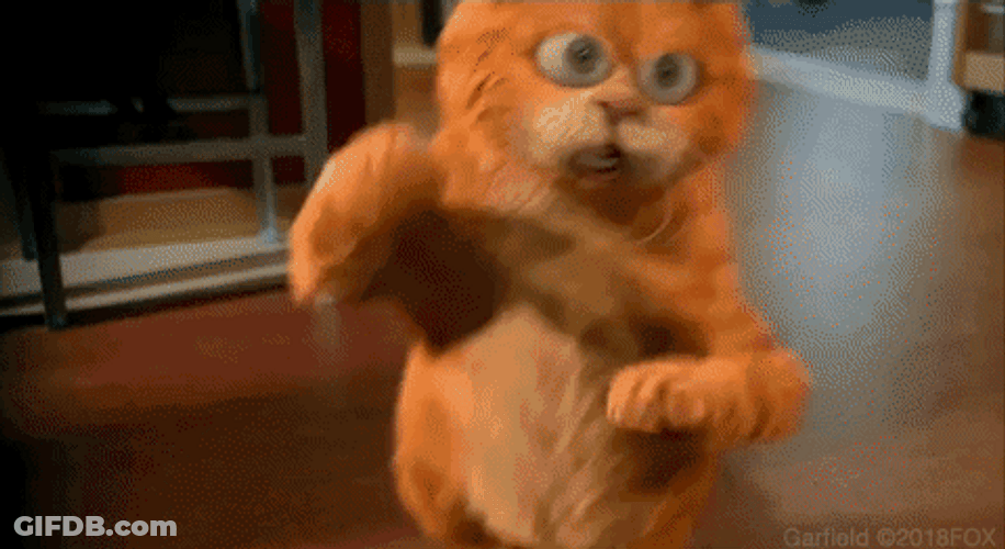 Living Room Happy Garfield Dancing GIF