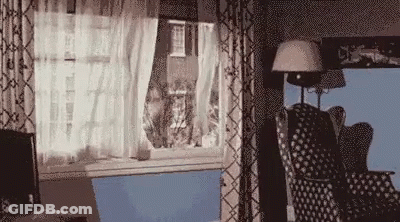 Living Room With Couch Chair Lamp And Window GIF