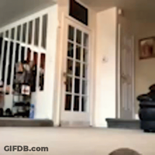 Living Room With French Door And Staircase GIF
