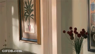 Living Room With Vase And Couch GIF