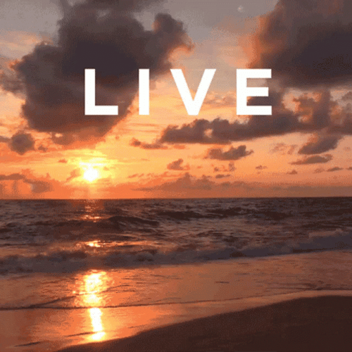 Living The Dream Sea Sunset GIF