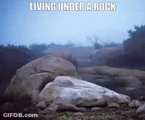 Living Under Rock Text GIF