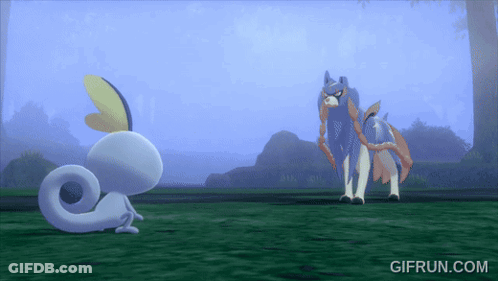 Lizard And Wolf Standing Together GIF