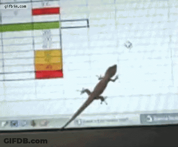 Lizard Chasing Mouse Cursor GIF