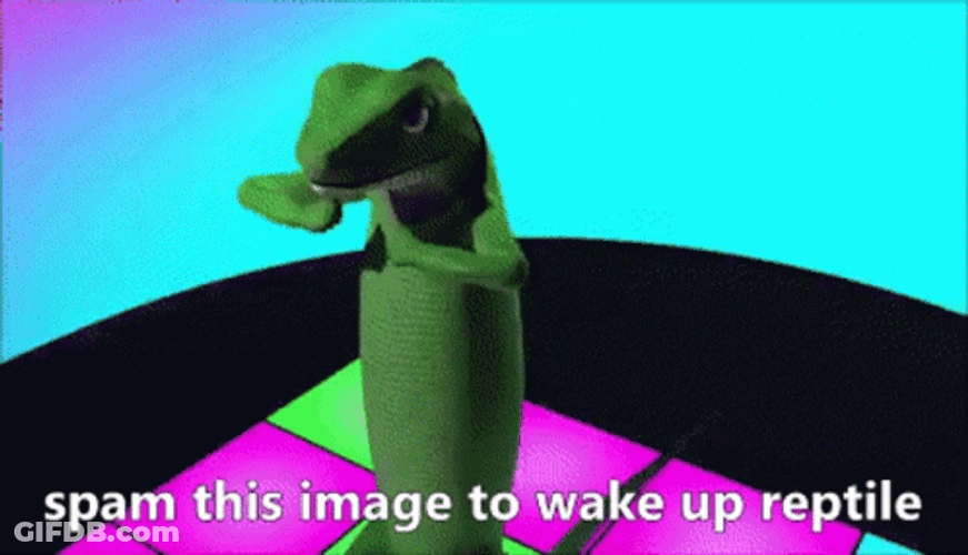 Lizard Dancing On A Dance Floor GIF