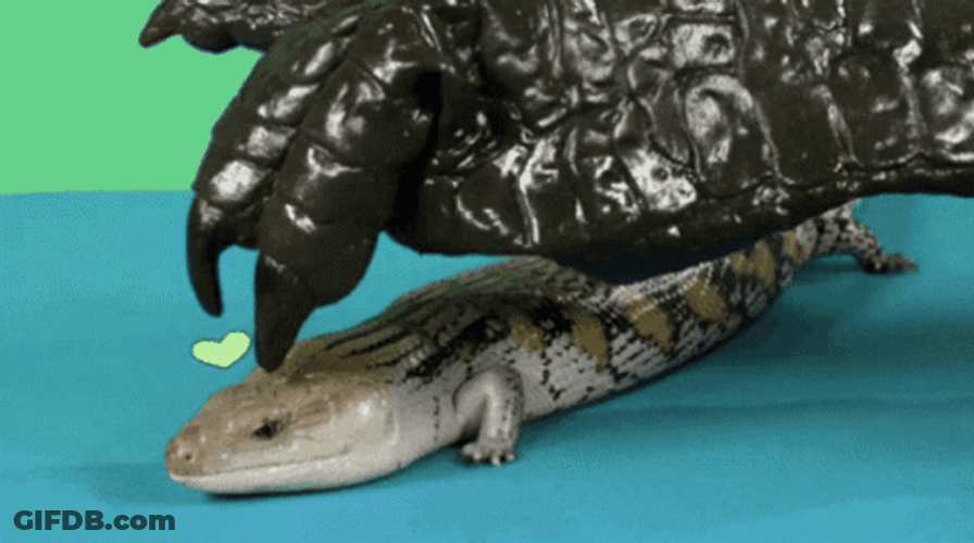 Lizard Enjoying Head Scratches GIF