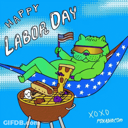 Lizard In Hammock Holding American Flag And Pizza GIF