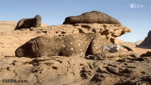 Lizard Laying In Sand With Apple TV+ Logo GIF