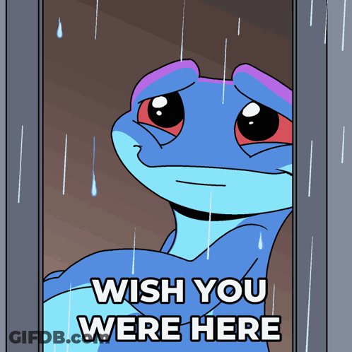 Lizard Looking Out Window With Wish You Were Here GIF