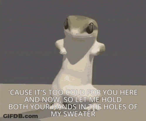 Lizard Saying Cause Its Too Cold For You Here GIF