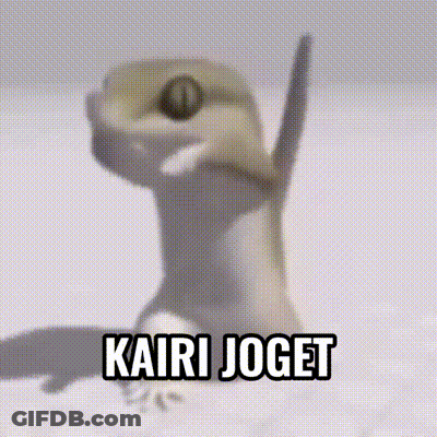 Lizard Saying Kairi Joget GIF