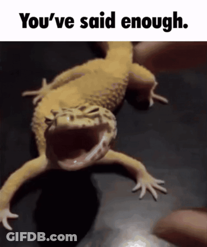 Lizard Saying You've Said Enough GIF
