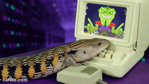 Lizard Sitting On Keyboard GIF