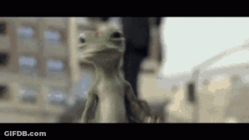 Lizard Standing In Front Of A Building GIF